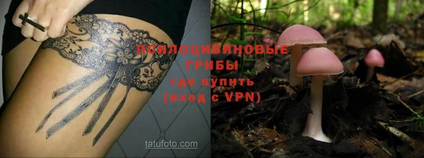 дживик Володарск