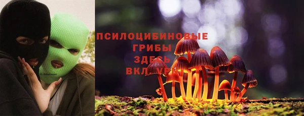 дживик Володарск