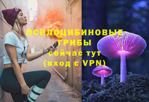 гидра Усмань