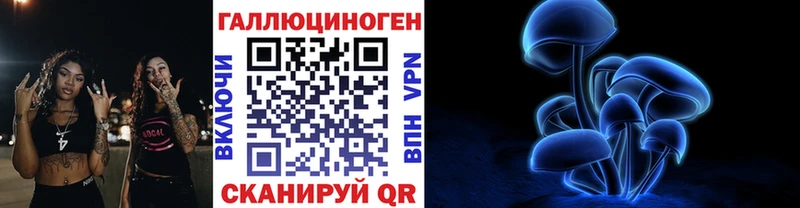 купить закладку  Лосино-Петровский  блэк спрут ССЫЛКА  Псилоцибиновые грибы Psilocybine cubensis 